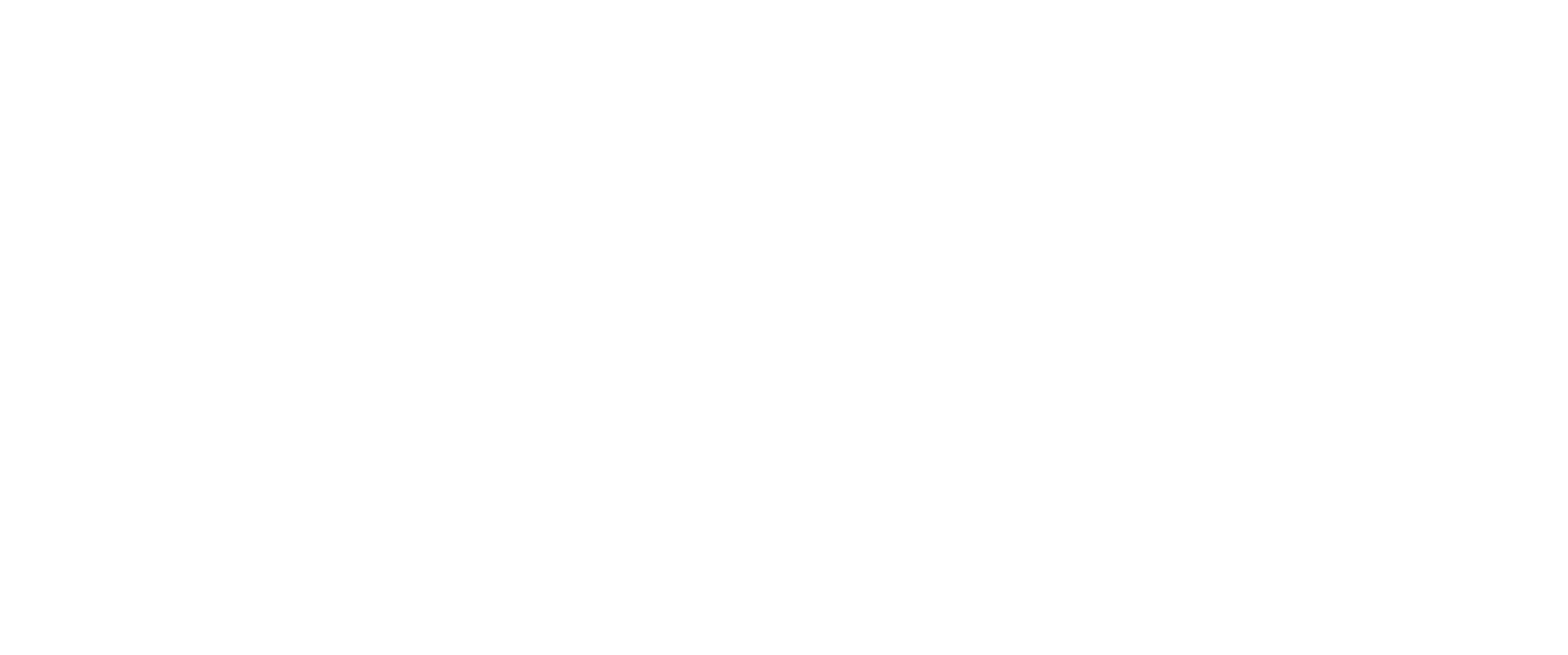 Cliente Vorx — Ana Maria Silva Oliveira